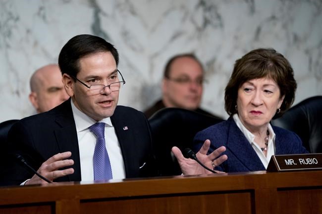 Marco Rubio looks for his place in Trump's Republican Party | iNFOnews.ca