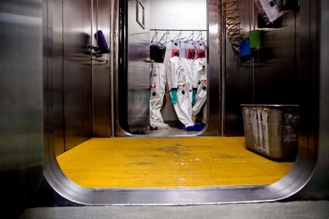 Medical intelligence sleuths tracked, warned of new virus | iNFOnews.ca CP634929959