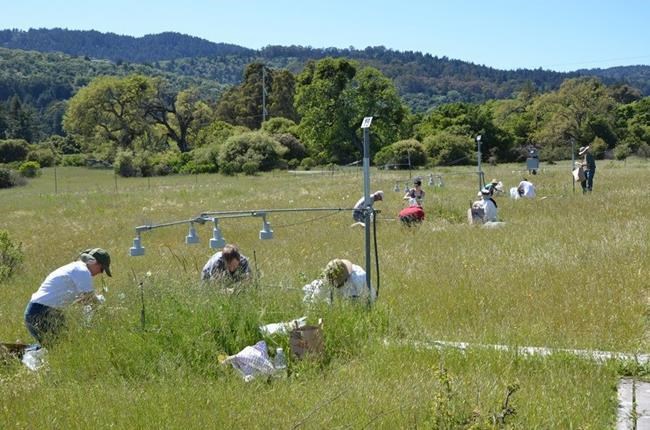 Future climate change field test doesn't make Earth greener | iNFOnews.ca
