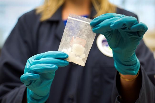 5 things to know about America's synthetic-opioid epidemic | iNFOnews.ca