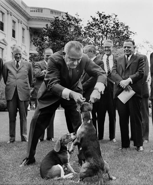 It's Major: Pets poised for a return to the White House | iNFOnews.ca