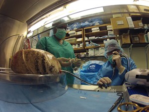 AP IMPACT: Lungs don't die when you do, so study seeks donors who die outside of the hospital | iNFOnews.ca CP25987589