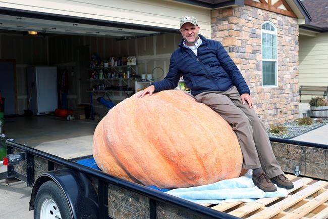 Wyoming man grows 1,491-pound pumpkin, breaks state record | iNFOnews.ca Wyoming man grows 1,491-pound pumpkin, breaks state record | iNFOnews.ca