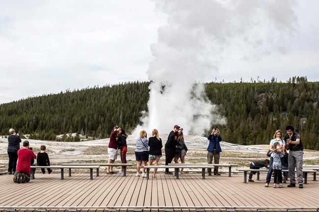 Competitors working together as Yellowstone preps to reopen | iNFOnews.ca