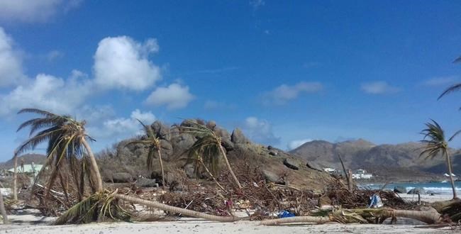 Hurricane Irma exposes racial tensions on smashed St. Martin | iNFOnews.ca