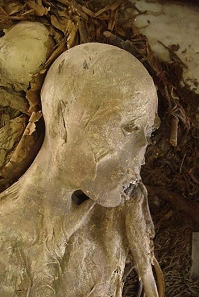 Burned National Museum in Rio had relics from around world | iNFOnews.ca
