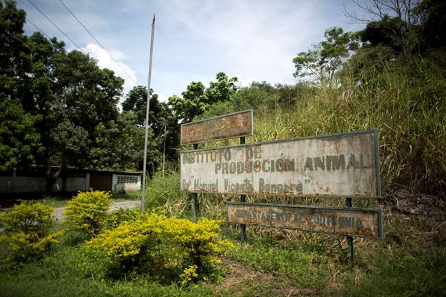 Gruesome find leaves Venezuelan veterinary students in tears | iNFOnews.ca Gruesome find leaves Venezuelan veterinary students in tears | iNFOnews.ca