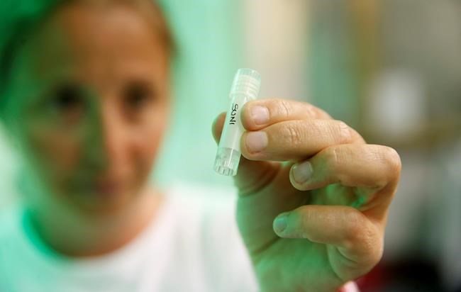 Scientists succeed in creating northern white rhino embryos | iNFOnews.ca