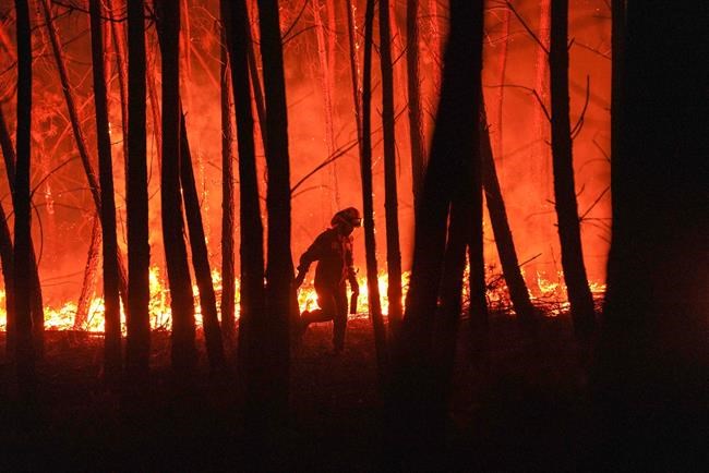 Major Portuguese wildfire close to end, officials say | iNFOnews.ca