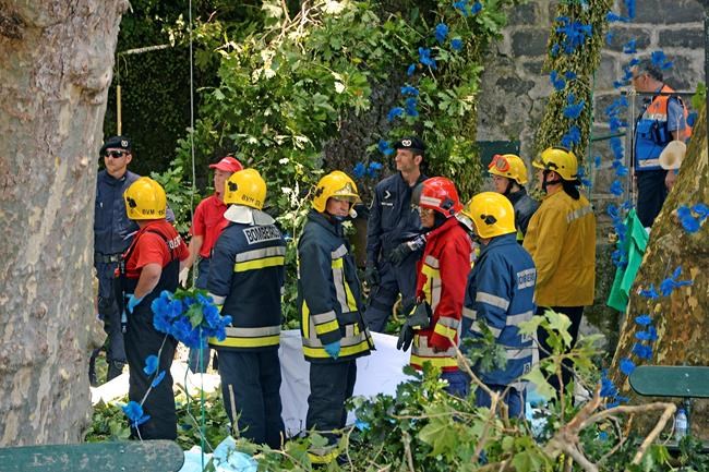 13 killed when huge tree crashes down on Portuguese festival | iNFOnews.ca 13 killed when huge tree crashes down on Portuguese festival | iNFOnews.ca