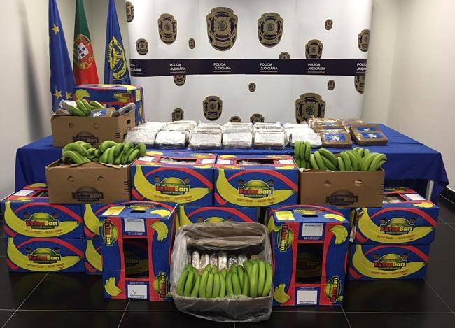 Portuguese police intercept cocaine shipment to Spain | iNFOnews.ca Portuguese police intercept cocaine shipment to Spain | iNFOnews.ca
