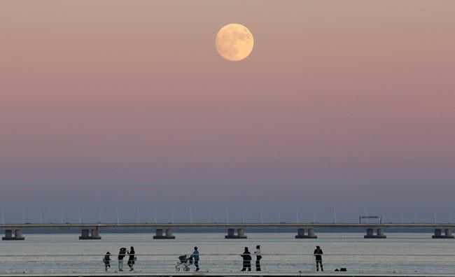 Brightest moon in almost 69 years lights up sky around globe | iNFOnews.ca