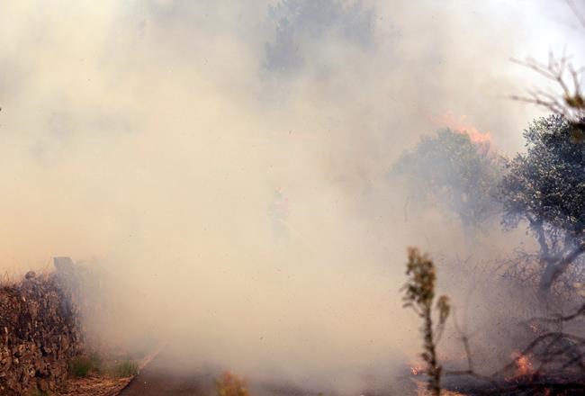 Heroes without capes: Portugal's firefighters work for free | iNFOnews.ca