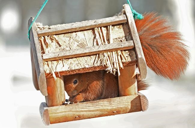 Geneva airport temporarily shut after snowfall blankets city | iNFOnews.ca Geneva airport temporarily shut after snowfall blankets city | iNFOnews.ca