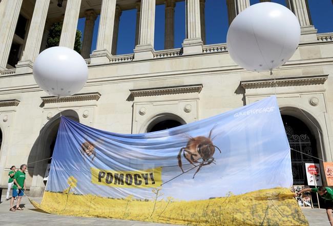 Poland: Activists protest use of pesticide harmful to bees | iNFOnews.ca Poland: Activists protest use of pesticide harmful to bees | iNFOnews.ca