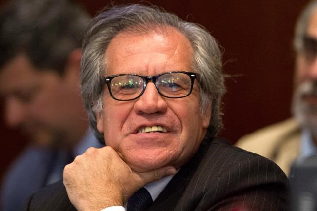 Top diplomat to accept award from democracy group in Cuba | iNFOnews.ca