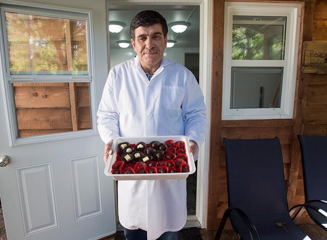Refugee family proud their chocolate business mentioned in United Nations speech | iNFOnews.ca