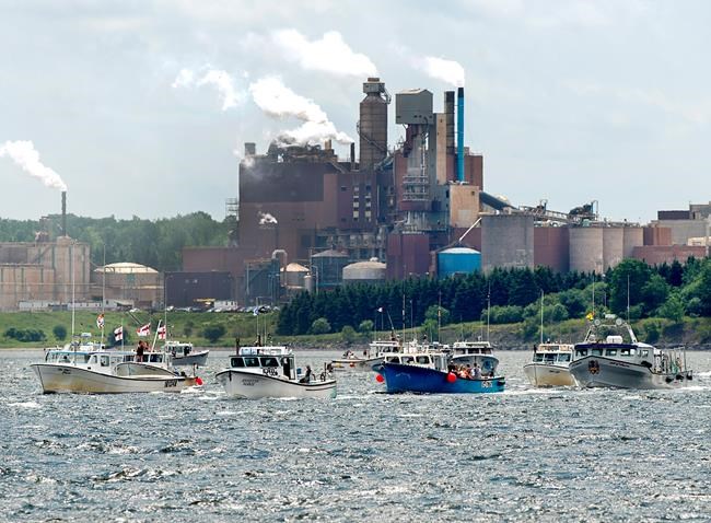 Fishing boats converge on Nova Scotia harbour as part of effluent pipe protest | iNFOnews.ca