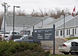 CP28261895