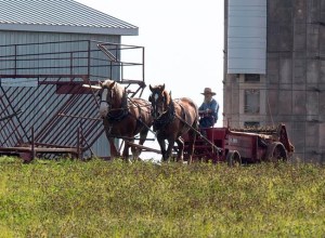 CP539662770