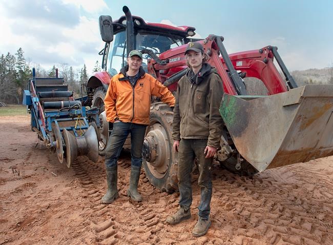Farmers enjoy new popularity but worry 'buy local' trend could be fickle | iNFOnews.ca Farmers enjoy new popularity but worry 'buy local' trend could be fickle | iNFOnews.ca