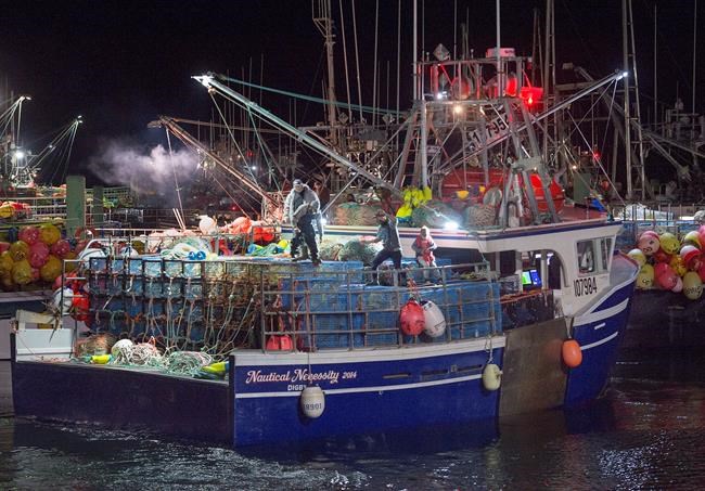 Lobster seized at Halifax airport amid tensions over Indigenous fishery | iNFOnews.ca