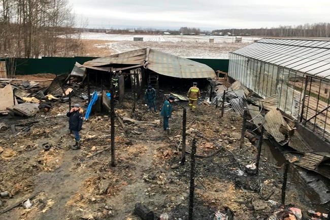 Fire at Russia greenhouse farm kills 8 people; 1 injured | iNFOnews.ca