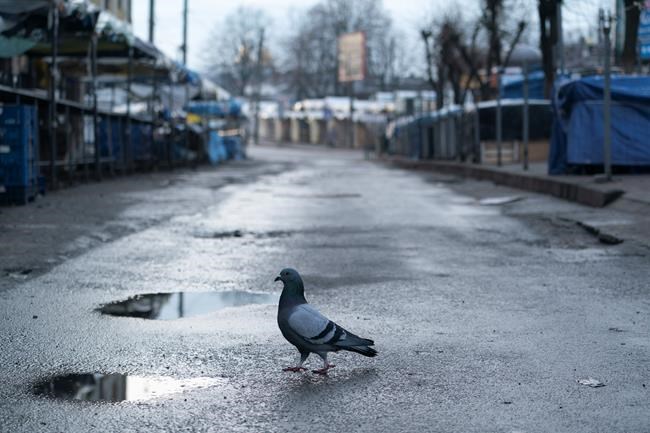 Ukraine imposes virus lockdown that many say came too late | iNFOnews.ca