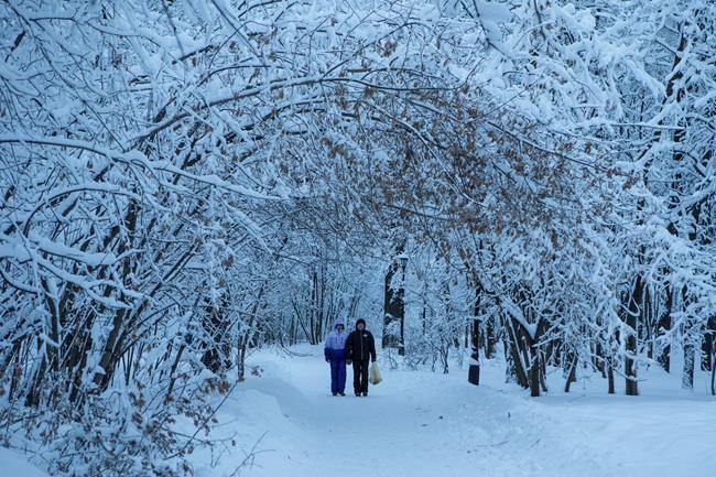 Massive snowstorm delays flights, cancels school in Moscow | iNFOnews.ca CP1968722093