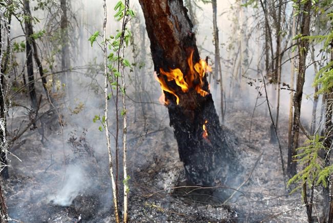 Meteorologist: Russia wildfires linked to climate change | iNFOnews.ca Meteorologist: Russia wildfires linked to climate change | iNFOnews.ca