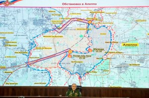 CP274363393