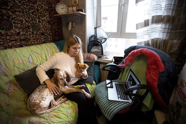 Amid Moscow lockdown, some dogs find new homes and friends | iNFOnews.ca