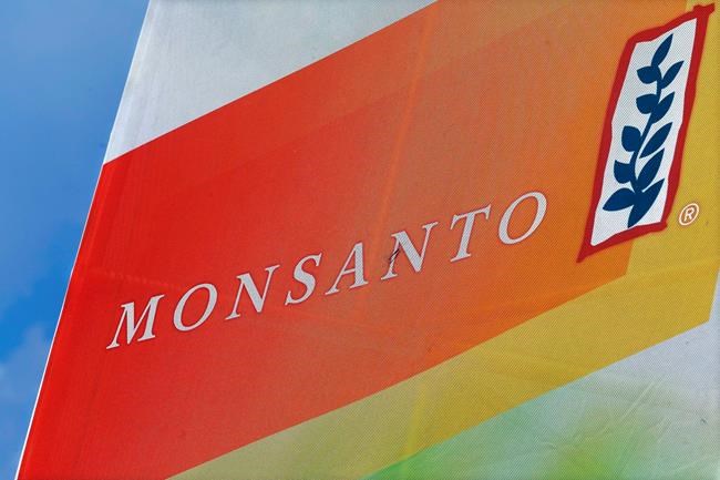 Germany's Bayer increases offer for seed company Monsanto | iNFOnews.ca Germany's Bayer increases offer for seed company Monsanto | iNFOnews.ca