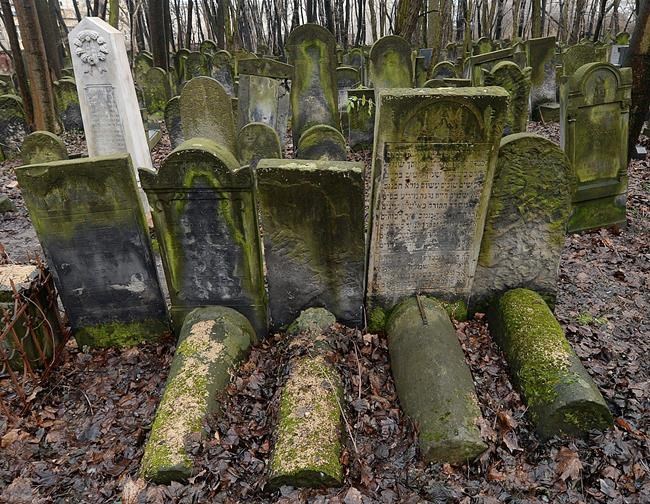 Poland donates large sum to preserve Warsaw Jewish cemetery | iNFOnews.ca Poland donates large sum to preserve Warsaw Jewish cemetery | iNFOnews.ca
