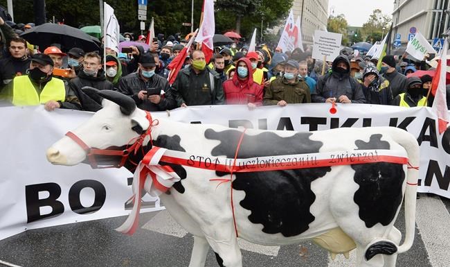 Polish farmers protest planned animal welfare law | iNFOnews.ca Polish farmers protest planned animal welfare law | iNFOnews.ca