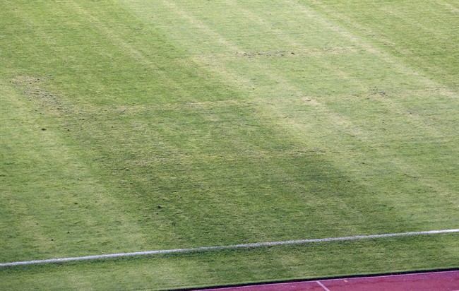Swastika pattern depicted on pitch during Croatia vs. Italy Euro 2016 qualifier | iNFOnews.ca CP33458773