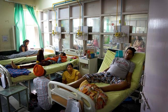 In annual ritual, Delhi struggles with dengue, chikungunya | iNFOnews.ca