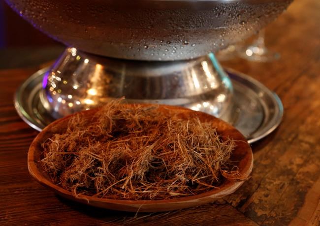 Special South African gin is infused with elephant dung | iNFOnews.ca