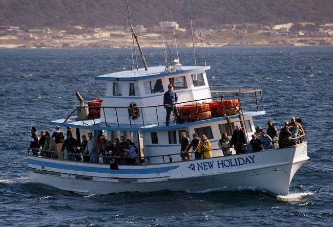 Whale-watching comes under scrutiny at South Africa meeting | iNFOnews.ca CP1802809450