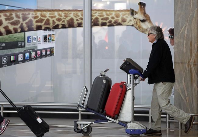 Biggest South African airport probes possible insider crime | iNFOnews.ca
