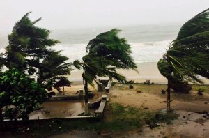 CP316563143