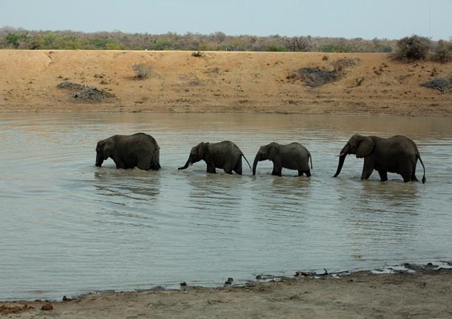 South Africa reopens to foreign travellers amid virus creep | iNFOnews.ca