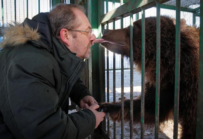 Wild animals get care at private Russian centre | iNFOnews.ca CP567861242