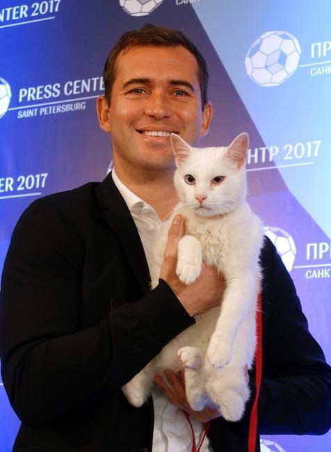 Russia unveils psychic cat ahead of Confederations Cup | iNFOnews.ca Russia unveils psychic cat ahead of Confederations Cup | iNFOnews.ca