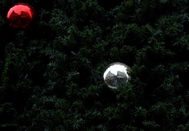 High-price public Christmas tree causes uproar in Belgrade | iNFOnews.ca High-price public Christmas tree causes uproar in Belgrade | iNFOnews.ca