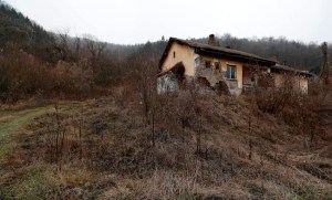 CP447062761