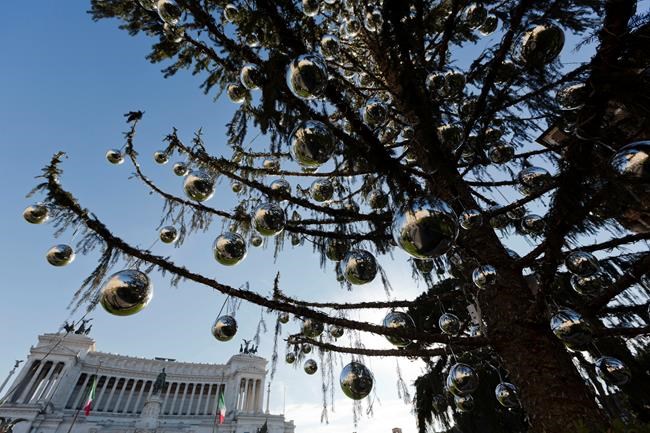 Rome's mangy Christmas tree to be carved up into souvenirs | iNFOnews.ca