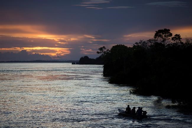 Investors warn Brazil ambassadors about Amazon deforestation | iNFOnews.ca CP763849906