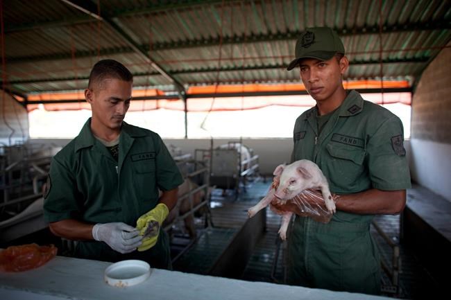 Venezuela turns to its military to combat food shortages | iNFOnews.ca