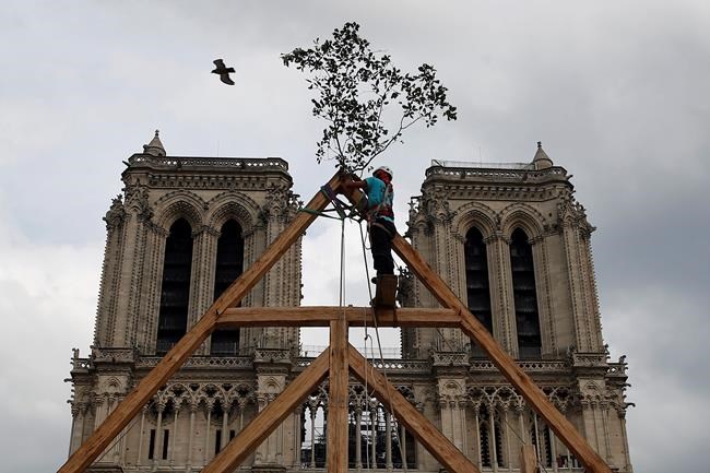 Carpenters wow public with medieval techniques at Notre Dame | iNFOnews.ca